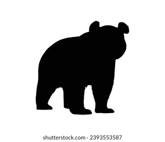 cute panda Silhouette. Cute panda vector illustration.