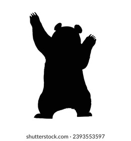 cute panda Silhouette. Cute panda vector illustration.