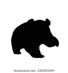 cute panda Silhouette. Cute panda vector illustration.