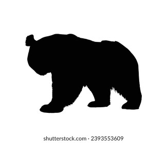 cute panda Silhouette. Cute panda vector illustration.