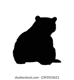 cute panda Silhouette. Cute panda vector illustration.