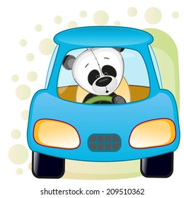 Cute Panda is sitting in a car 