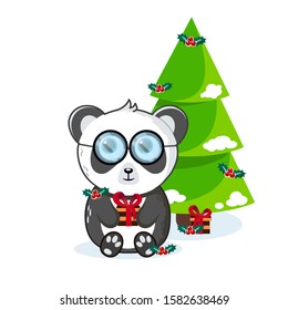Cute panda. sitting under a Christmas tree with a gift and mistletoe. Vector illustration for kids isolated white background.
