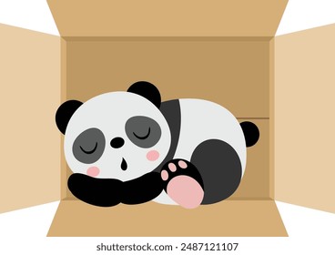Netter Panda schlafend in Karton