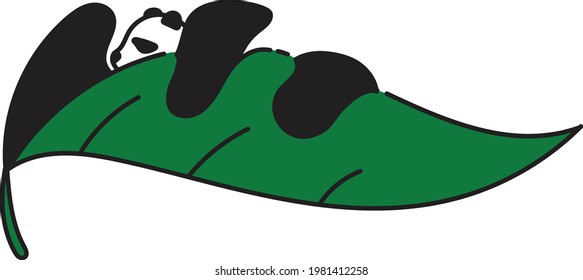 cute panda sleeping on a leaf 