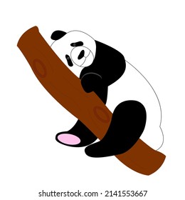 Cute panda sleeps on a tree branch. Vector illustration isolated on white background