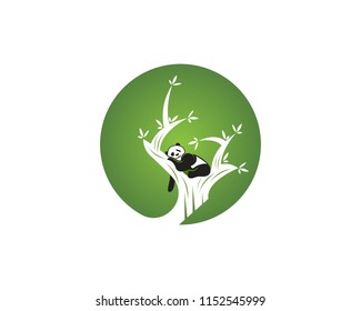 Cute panda in tree logo design vector illustration