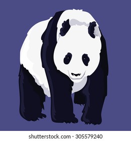 Cute Panda Vector
