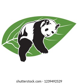 cute panda vector illustration, cute and funny panda sleeping on the leaf