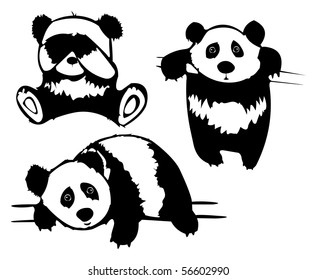 Niedliche Pandas