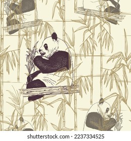 Cute pandas in bamboo thickets. Pen and ink  drawing. The Pandas obtain food by bamboo forest in their native habitats. Vector background.