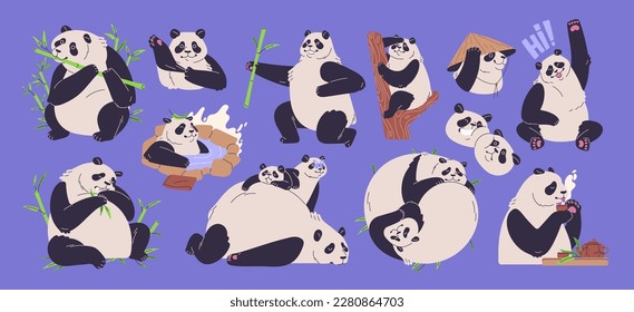 Cuidados pandas. Los osos asiáticos divertidos. Animales chinos silvestres comiendo bambú, sentados en una rama de árbol, tumbados, relajados. Jungla, personajes del zoológico de Asia, bebés gigantes y pequeños. Ilustración vectorial plana