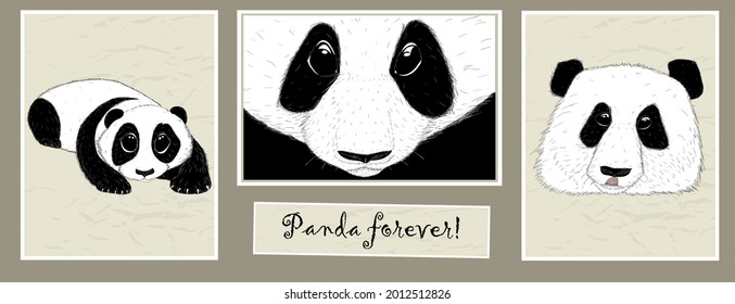 Cute pandas set. Vector illustration EPS8