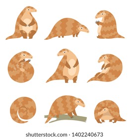 Cute Pangolin Animal in Various Poses Set, Rare Species of Animals Cartoon Vector Illustration