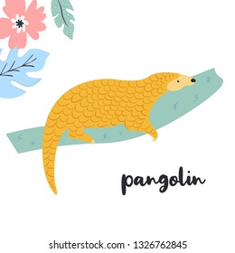 Cute pangolin on the branch. Rare species of animals. Character on white background