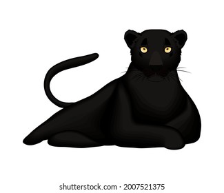 Cute panther cartoon on white background