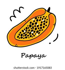 Cute papaya in doodle style with outline. Doodle vector illustration. Papaya isolated on white background.