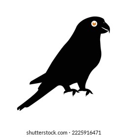 Icono de ave animal de loro | Ilustración del vector negro |