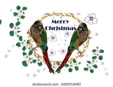 The cute parrot is attracted by the fragrant violet, wishing you also the joy of Christmas on the shining day