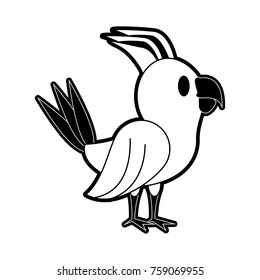 Cute parrot bird cartoon