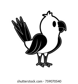 Cute parrot bird cartoon