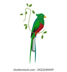 Cute parrot, bird with green and red feathers sitting on branch of tropical plant vector illustration