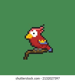 cute parrot bird in pixel style