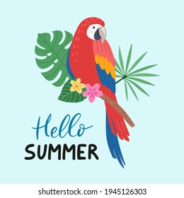 Cute parrot bird sitting on a tropical branch with exotic leaves. Bright colorful vector illustration of parrot in cartoon style. Hello summer lettering