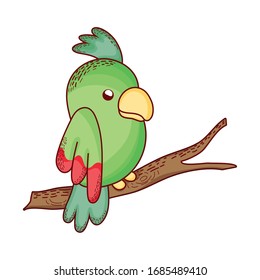 cute parrot in branch tree cartoon isolated icon design vector illustration