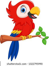 Cute parrot cartoon
