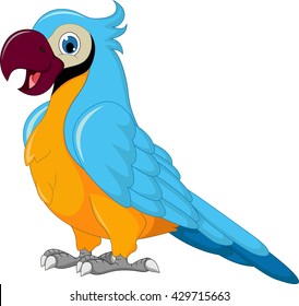 Cute Parrot Cartoon