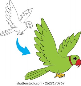 Cute Parrot Cartoon Outline and Coloring Illustration Isolated on White Background