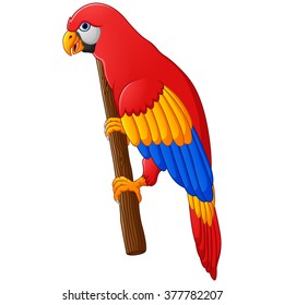 Cute parrot cartoon posing