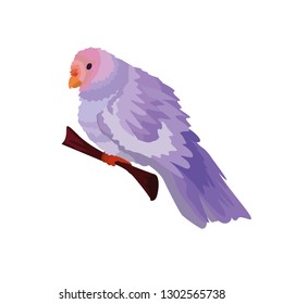 Cute parrot color purple. A small parrot sitting on a thin twig. Vector, esp10.