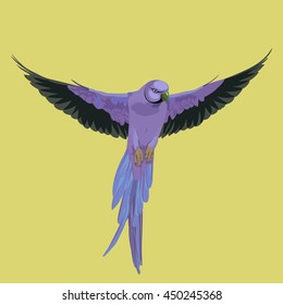 cute parrot illustration vector