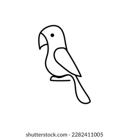 Cute parrot on white background