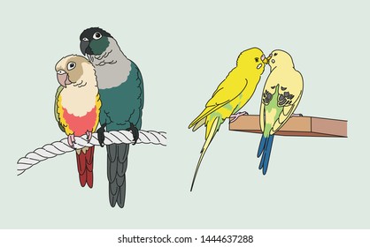 Cute parrot, parakeet couple. hand drawn style vector design illustrations. 