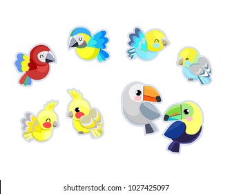 Cute Parrot Set Vector Illustration