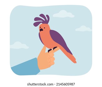 Cute parrot sitting on finger of person. Hand holding colorful tropical bird flat vector illustration. Exotic pets, animal care concept for banner, website design or landing web page