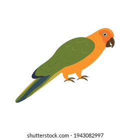 Loro lindo. Ilustración vectorial. Fondo blanco.