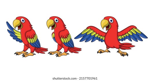 Cute parrots cartoon collection set