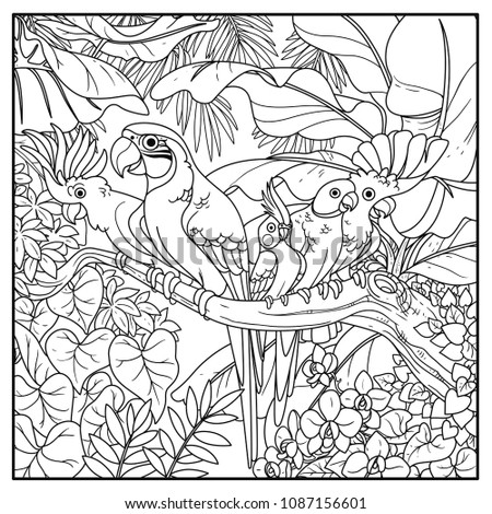 Cute parrots of different breeds sits on branch in wild jungle black contour line drawing for coloring on a white background
