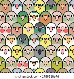 Cute parrots faces are in one place looking at you and each other.