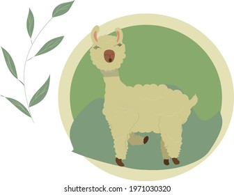 Cute pastel colored alpaca smiling with a tree twig