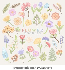 Cute pastel colorful flower, floral, leaves doodles with soft background  