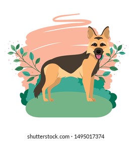 cute pastor aleman dog with background landscape