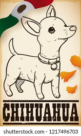 Cute patriotic Chihuahua dog in hand drawn style over a scroll with Mexico flag and cempasuchil petals.