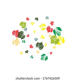 cute pattern of beautiful prints of leaves painted watercolor by hand. Set of vector drawings with acrylic paints Hi detailed texture of forest leaves Monochrome artistic floral collection. 