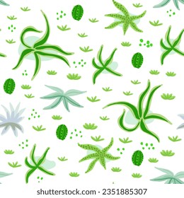 Cute pattern with cactuses and succulents on white in hand drawn style