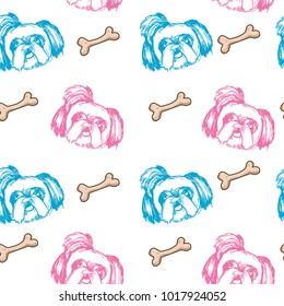 Cute pattern dog breed Bichon Frise on white with bones. It can be used for packaging, wrapping paper, textile and etc.